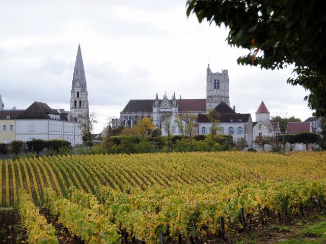 Clos de La Chaînette Cathédrale Abbaye