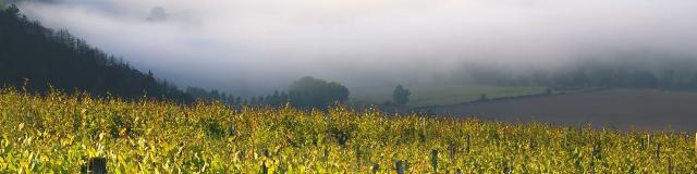 Vignoble Auxerrois Panorama Irancy