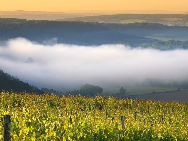 Vignoble Auxerrois Panorama Irancy