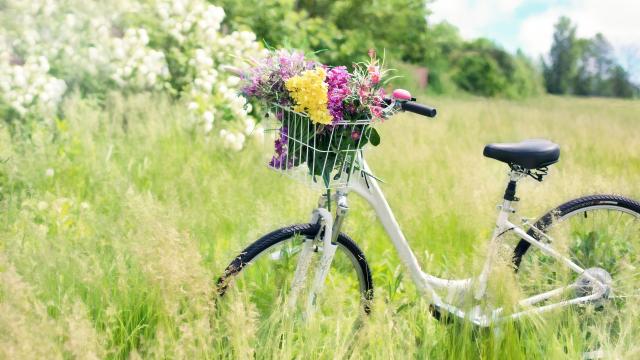 Vélo Printemps