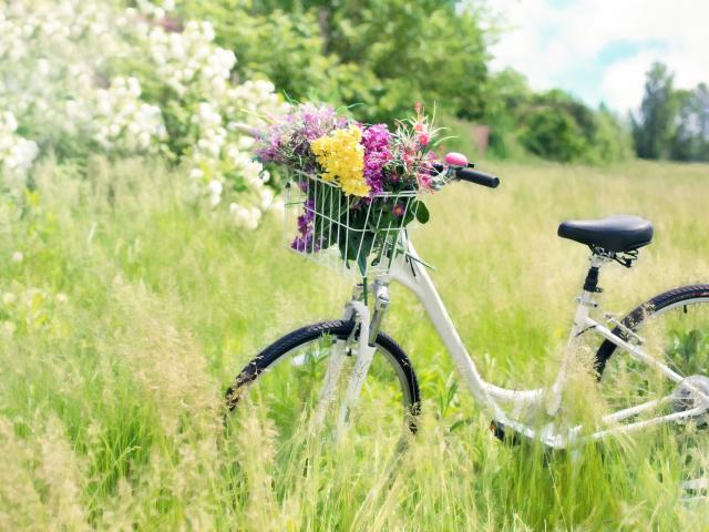 Vélo Printemps