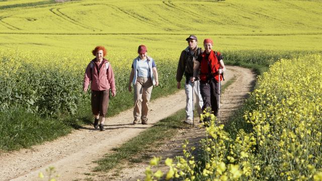 Randonneurs dans l'Auxerrois