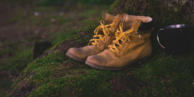 Chaussures de randonnée