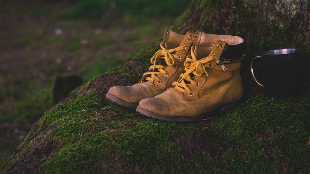 Chaussures de randonnée