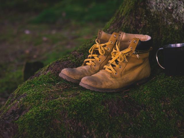 Chaussures de randonnée