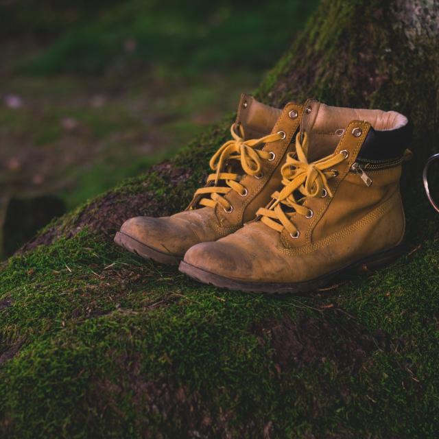 Chaussures de randonnée