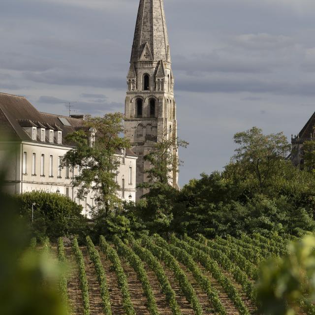 auxerre-9-bivb.jpg