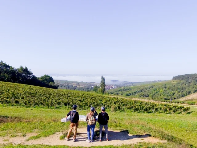 Balades Dans Les Vignes Irancy Auxerre