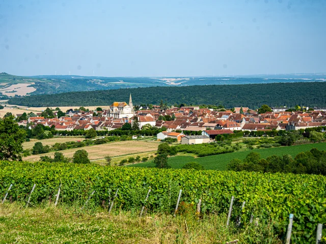 Coulanges La Vineuse Vue Vignes et Villages