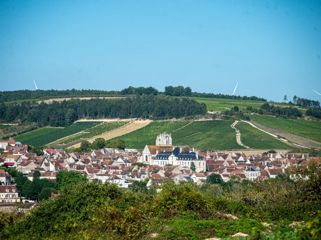 Saint Bris Vue Village Vigne