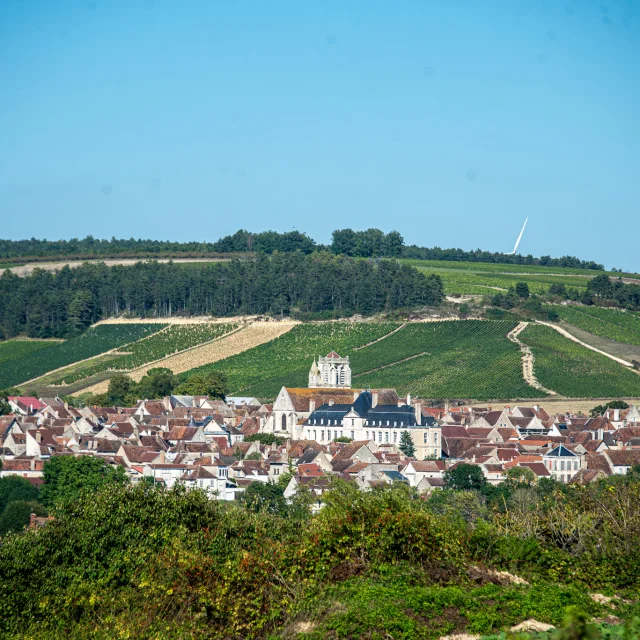 Saint Bris Vue Village Vigne