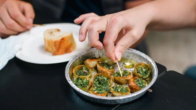 Dégustation escargots