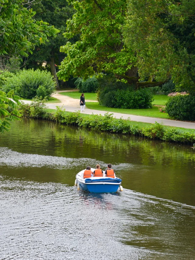 Canal du Nivernais et parc de l'arbre sec