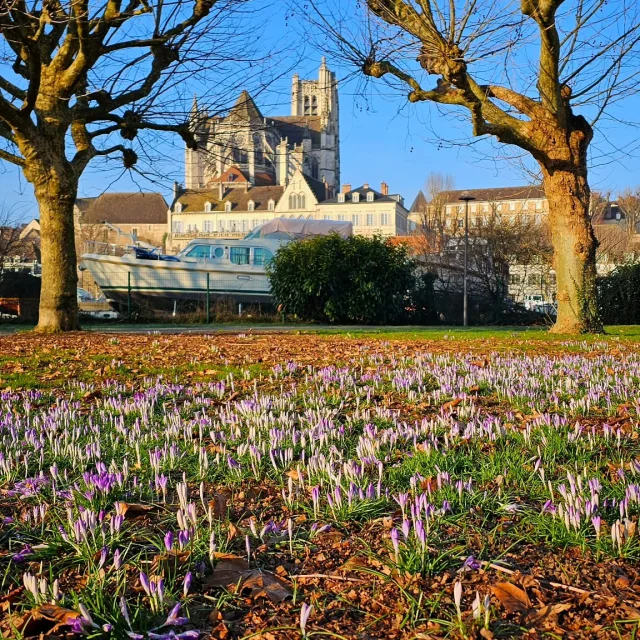 Instagram #auxerroistourisme